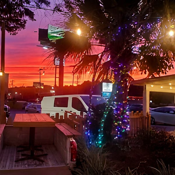 Outdoor restaurant patio with wooden picnic tables, string lights, and a colorfully illuminated palm tree at sunset beside parked cars.