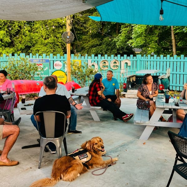Patrons gather at outdoor picnic tables beneath colorful canopies, with drinks, string lights, and a service dog resting nearby.