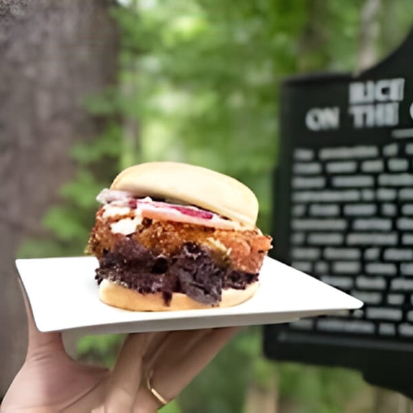 Hand holding a plate with a Bubba's Bistro southern fried chicken and pulled pork sandwich.